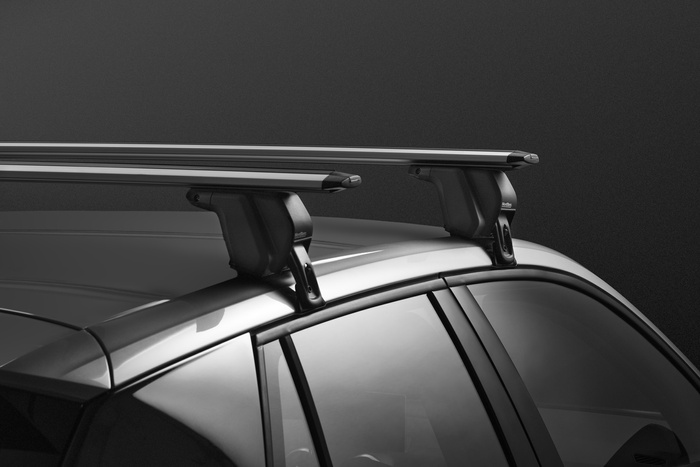 Galerie de toit Mont Blanc Furka B+B argentée