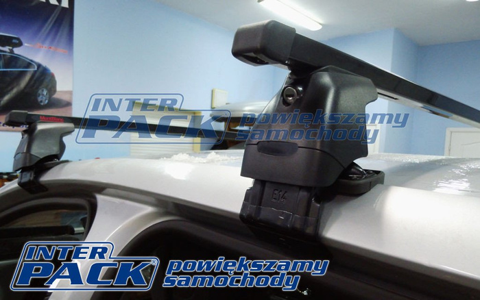 Barres de toit en acier Mont Blanc AMC 5022