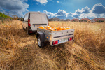 Remorque porte-voitures 150x106 UNITRAILER GARDEN 150 KIPP