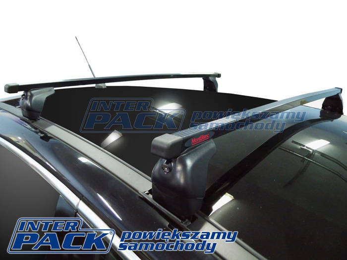 Galerie de toit en acier Mont Blanc AMC Peugeot 3008