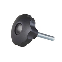 Bouton renforcé M10X33 TULPLAST POK-03 pour rampes