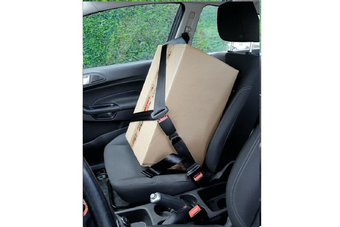 Rallonge de ceinture de sécurité homologuée LAMPA R16, 28-62 cm