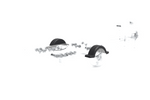 Garde-boue pour remorque à bateau 13" DOMAR D20422, passage de roue 950/240 mm