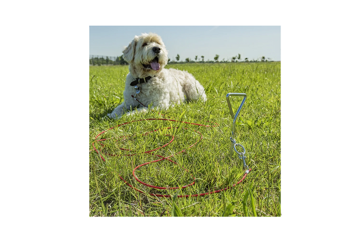 Poteau d'attache pour chien ProPlus 361857 avec câble en acier de 4,5 m