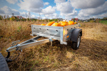 Remorque porte-voitures 150x106 UNITRAILER GARDEN 150 KIPP