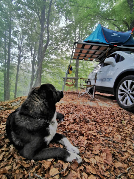 Plateforme de toit pour tente CampUp - Karma 50.130