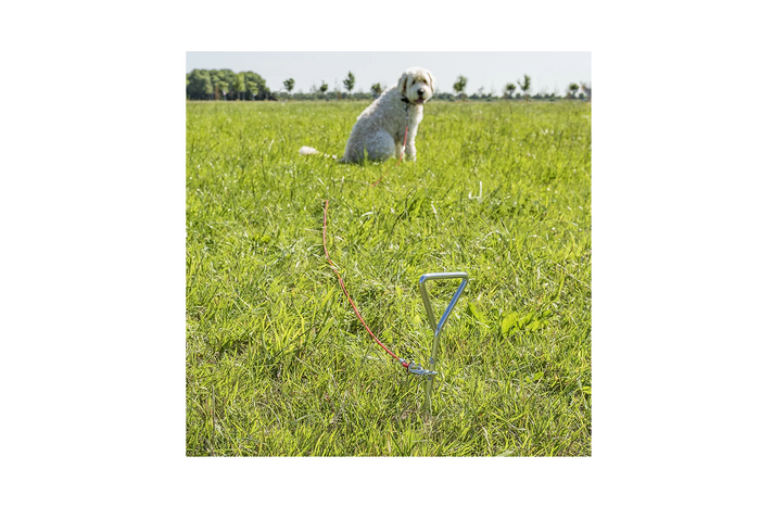 Poteau d'attache pour chien ProPlus 361857 avec câble en acier de 4,5 m