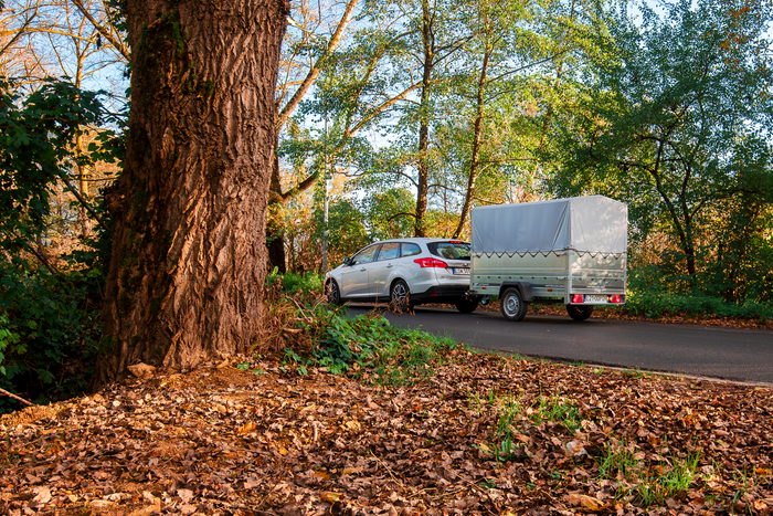 Remorque porte-voitures 230x125 UNITRAILER GARDEN 230 KIPP avec ridelles BIS, châssis H-800 et bâche grise