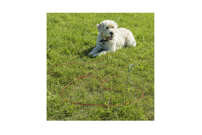 Poteau d'attache pour chien ProPlus 361857 avec câble en acier de 4,5 m