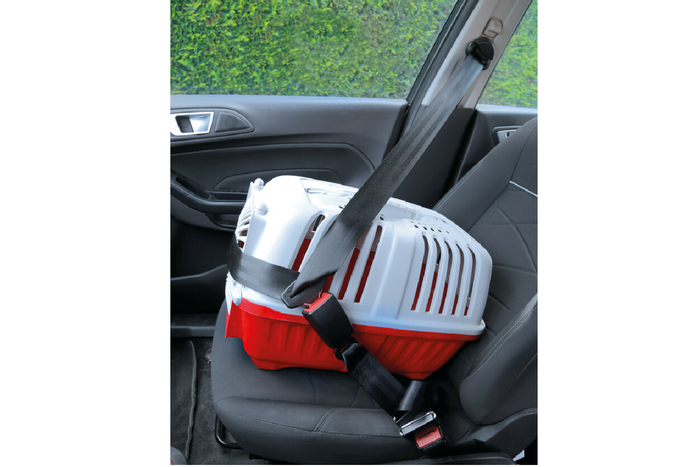 Rallonge de ceinture de sécurité homologuée LAMP R16, 28-62 cm