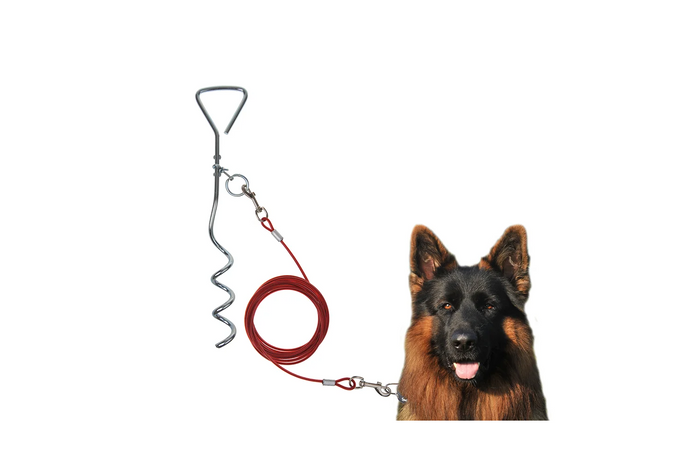 Poteau d'attache pour chien ProPlus 361857 avec câble en acier de 4,5 m
